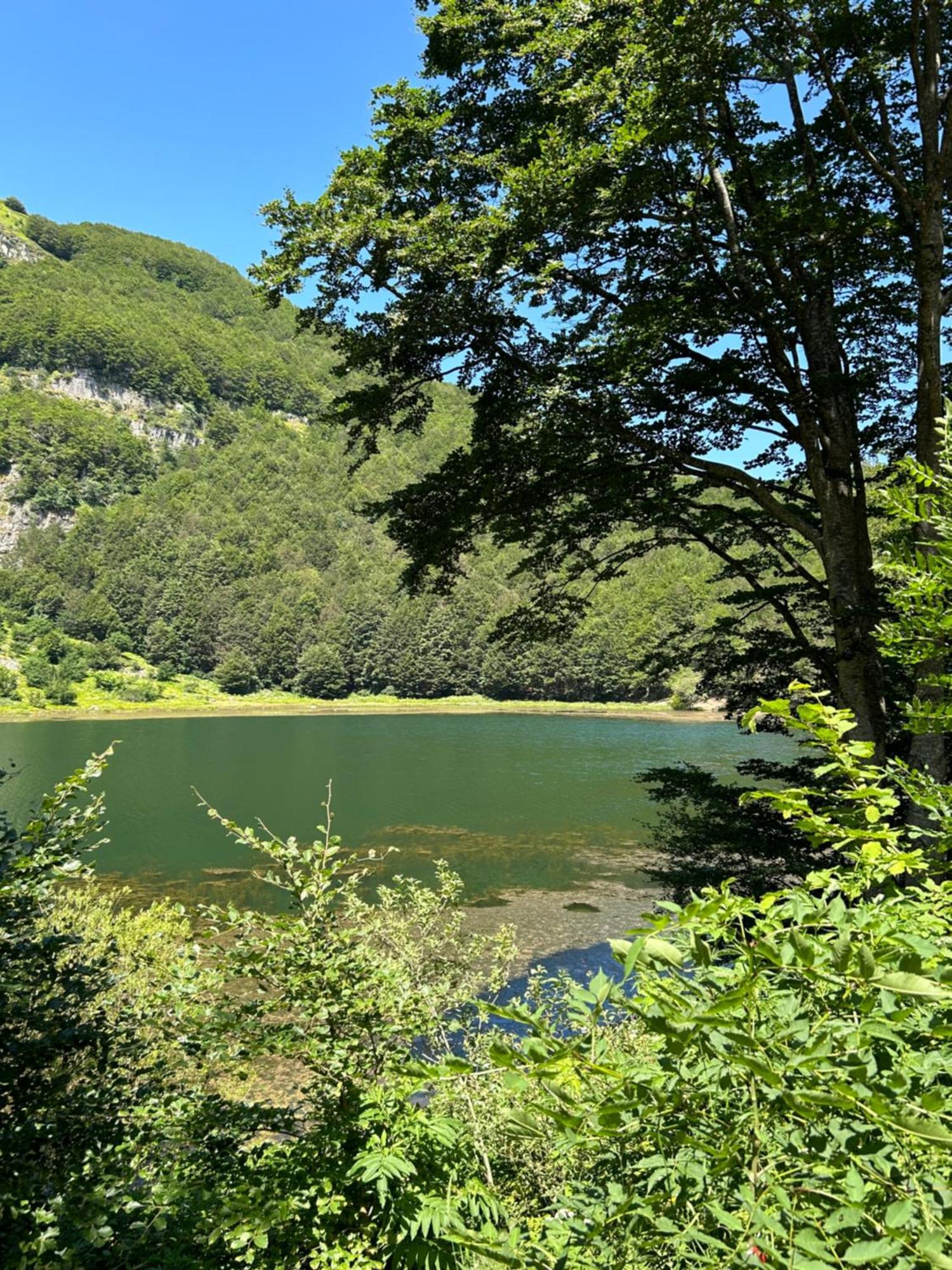 Appartamento Da Cinzia Pievepelago Esterno foto